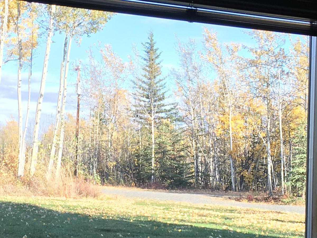 Sawing Logzz Cabin Copper Center Exterior photo